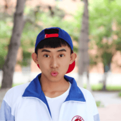 王龙
