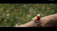 郭静 - 别惹哭我
