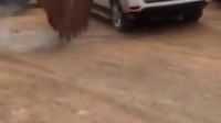 专治各种违章停车