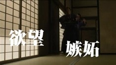 电视宣传片3