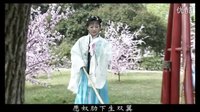 葬花 电视剧《黛玉传》插曲