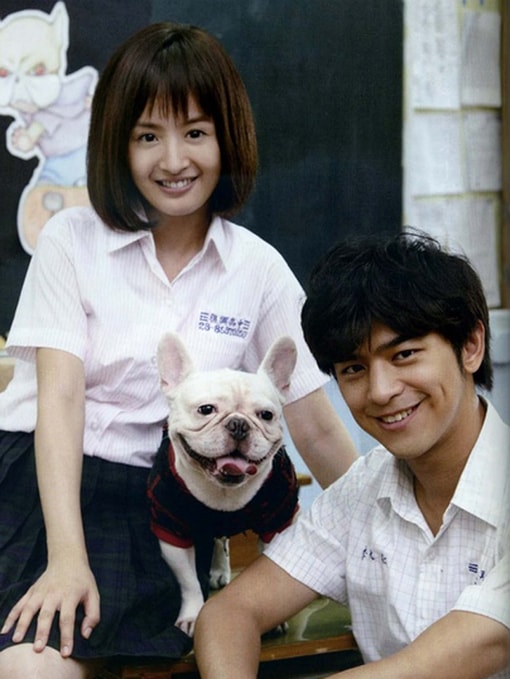 http://www.mshishang.net/pics/default/download/9893622601db64a31a53f5c375df78e7.jpg