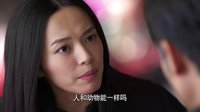 《离婚律师》女神教你520无节操示爱