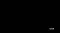 《神秘博士 第八季》播出时间提示