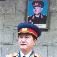 叶进