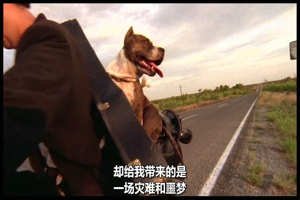 http://www.mshishang.net/pics/default/download/a9dfe7433b224a6237ce2adad0386cbf.jpg