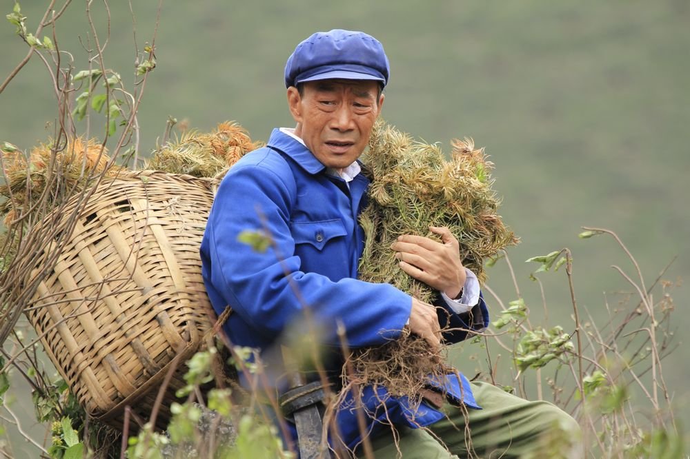 杨善洲 高清剧照