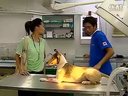 突围行动 徐子珊吴卓羲