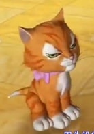 小猫