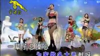 常回家看看， 酒廊情歌《十四大美女》太好听！