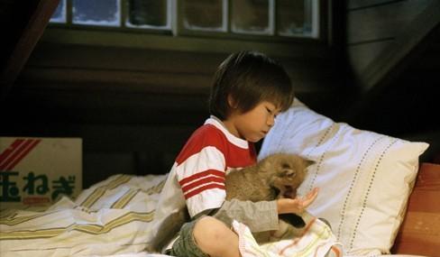 http://www.mshishang.net/pics/default/download/b93c4a347add94ab09e9211a79aa0c81.jpg