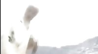 流星剑VS西门吹雪