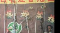 评剧名家爱派传人张砺沄李香莲卖画选段报画名