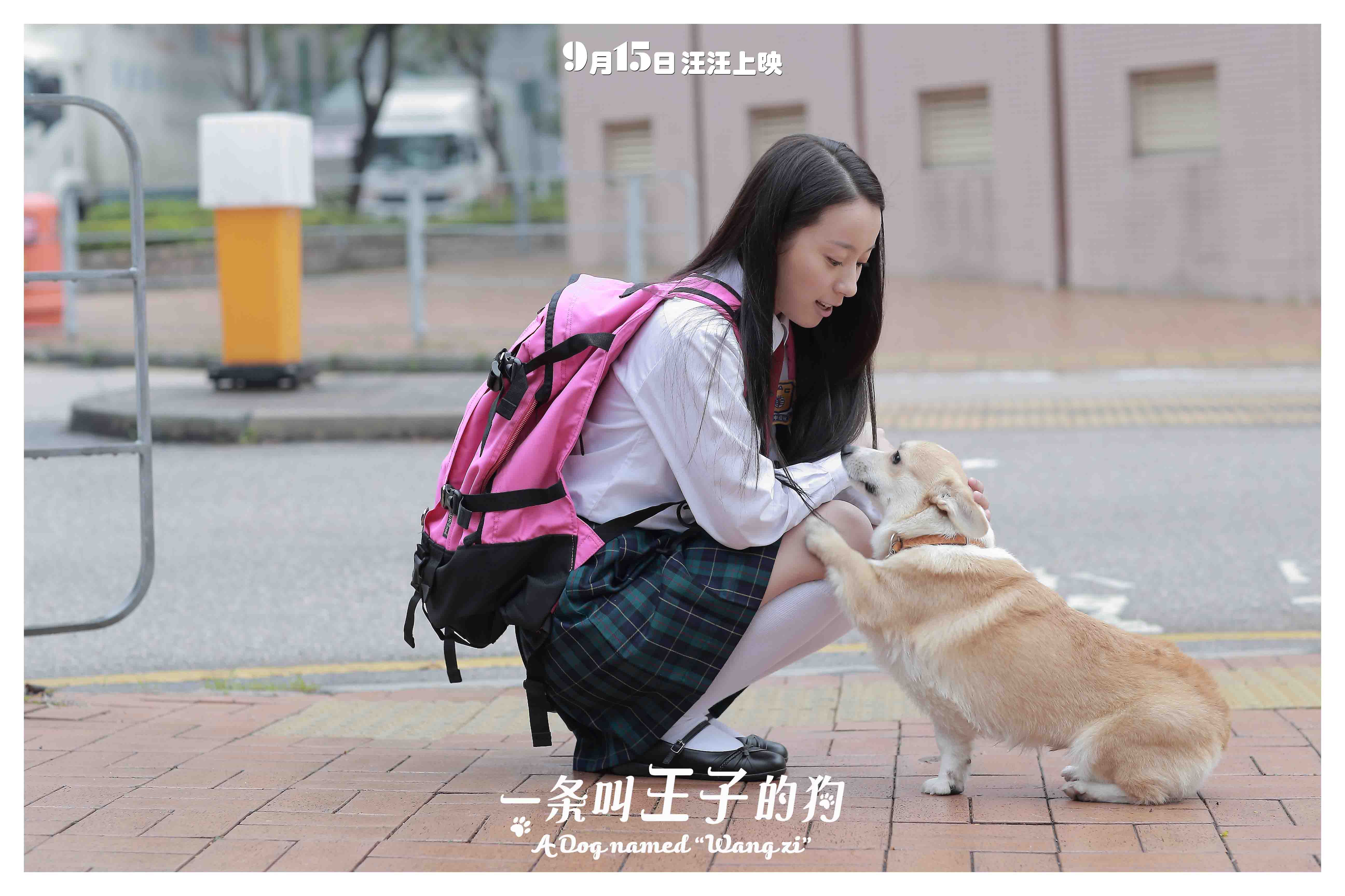 http://www.mshishang.net/pics/default/download/c9c2747960d6bd9455a60fee1c484a99.jpg