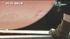 小清新花絮
