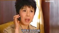 嘉美的骗局