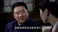 齐维刚《孤雁》饰假首长