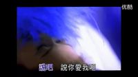 陈淑桦《说，你爱我》MV