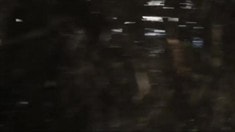 片段之Bird Fight