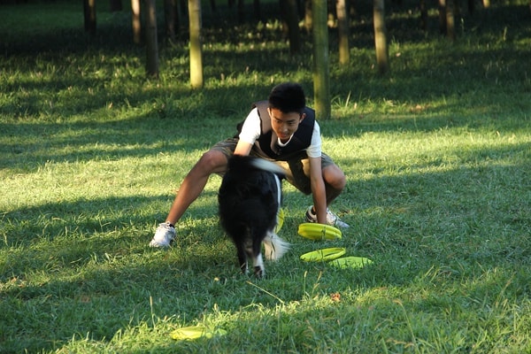 http://www.mshishang.net/pics/default/download/e32d2a97d3787fe0fc128120ec2fd443.jpg