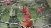 琼瑶影视剧之[鬼丈夫 ] 從不後悔愛上你.f