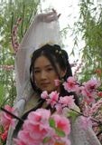 王雪菁