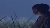 茶母主题曲