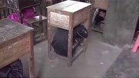 白仓镇新建中学防震疏散演练