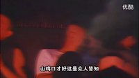 【宅男福利】古惑仔山鸡哥亲自传授泡妞秘籍_超清