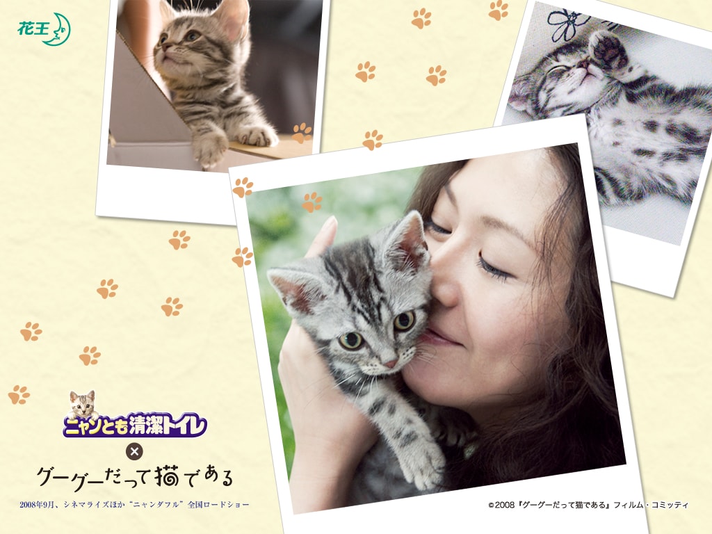 http://www.mshishang.net/pics/default/download/fec435722d68b3f3dd350eb3003a5b4a.jpg