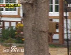 http://www.mshishang.net/pics/star/pic/13a994a283c3e5cf69d399e2d09d755e.jpg